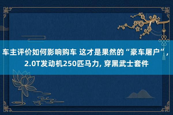 车主评价如何影响购车 这才是果然的“豪车屠户”, 2.0T发动机250匹马力, 穿黑武士套件