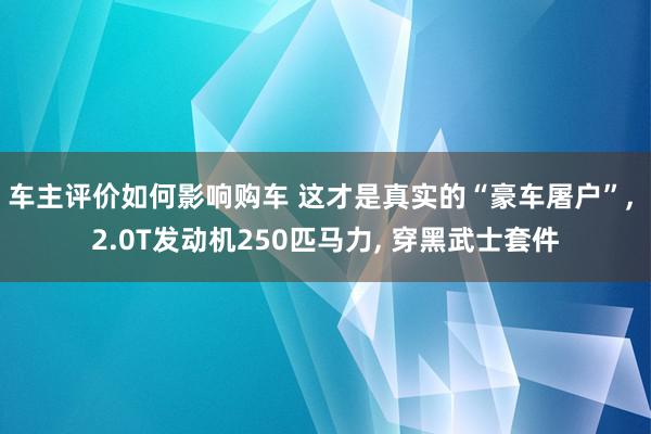 车主评价如何影响购车 这才是真实的“豪车屠户”, 2.0T发动机250匹马力, 穿黑武士套件