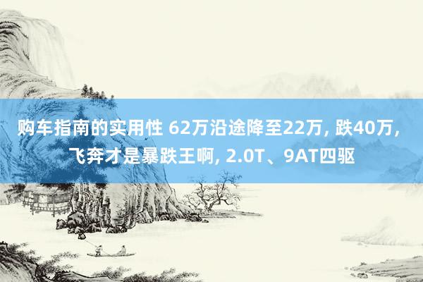 购车指南的实用性 62万沿途降至22万, 跌40万, 飞奔才是暴跌王啊, 2.0T、9AT四驱