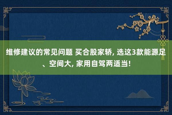 维修建议的常见问题 买合股家轿, 选这3款能源足、空间大, 家用自驾两适当!