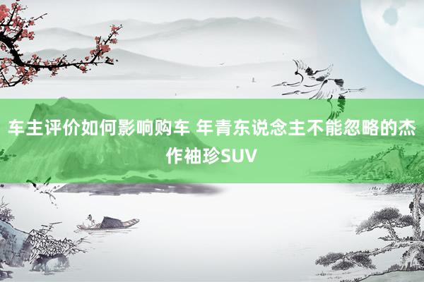 车主评价如何影响购车 年青东说念主不能忽略的杰作袖珍SUV