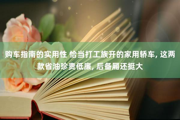 购车指南的实用性 恰当打工族开的家用轿车, 这两款省油珍贵低廉, 后备厢还挺大