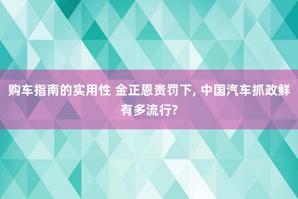 购车指南的实用性 金正恩责罚下, 中国汽车抓政鲜有多流行?