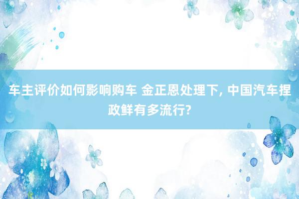 车主评价如何影响购车 金正恩处理下, 中国汽车捏政鲜有多流行?