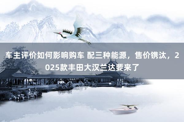 车主评价如何影响购车 配三种能源，售价镌汰，2025款丰田大汉兰达要来了