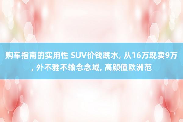 购车指南的实用性 SUV价钱跳水, 从16万现卖9万, 外不雅不输念念域, 高颜值欧洲范