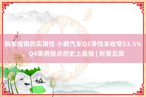 购车指南的实用性 小鹏汽车Q3净蚀本收窄53.5%，Q4录用指点创史上最强 | 财报见闻