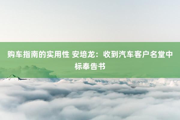 购车指南的实用性 安培龙：收到汽车客户名堂中标奉告书