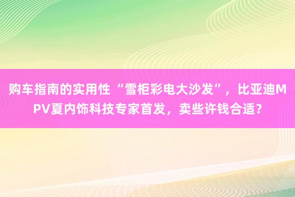 购车指南的实用性 “雪柜彩电大沙发”，比亚迪MPV夏内饰科技专家首发，卖些许钱合适？