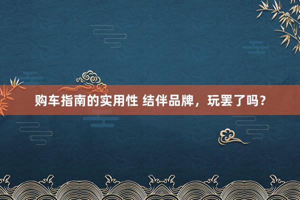 购车指南的实用性 结伴品牌，玩罢了吗？