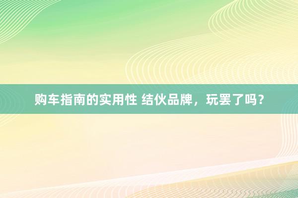 购车指南的实用性 结伙品牌，玩罢了吗？