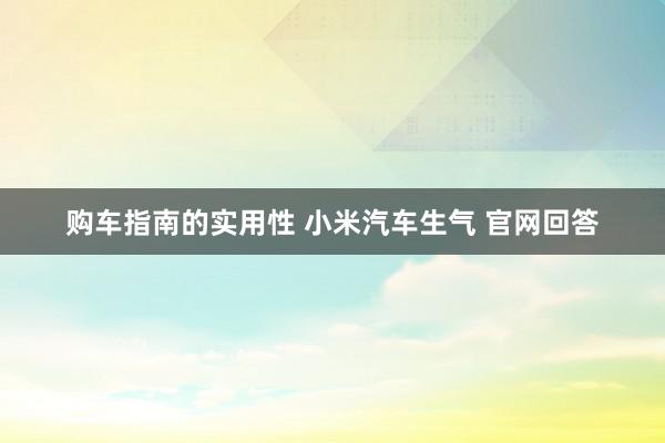 购车指南的实用性 小米汽车生气 官网回答