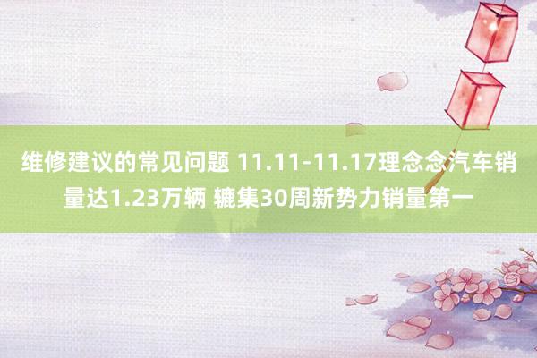 维修建议的常见问题 11.11-11.17理念念汽车销量达1.23万辆 辘集30周新势力销量第一