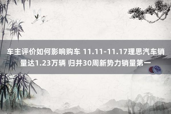 车主评价如何影响购车 11.11-11.17理思汽车销量达1.23万辆 归并30周新势力销量第一