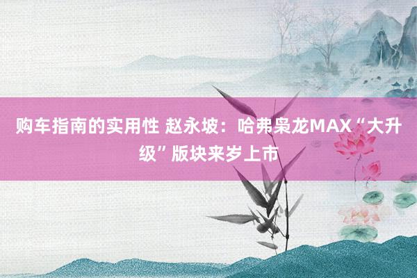 购车指南的实用性 赵永坡：哈弗枭龙MAX“大升级”版块来岁上市